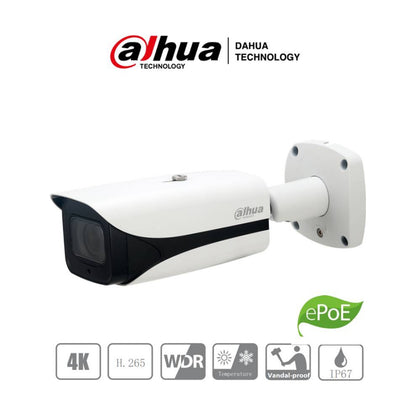 Cámara  Dahua Technology DH-IPC-HFW5831EN-ZE