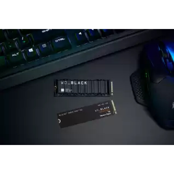 SSD SANDISK WDS100T2XHE