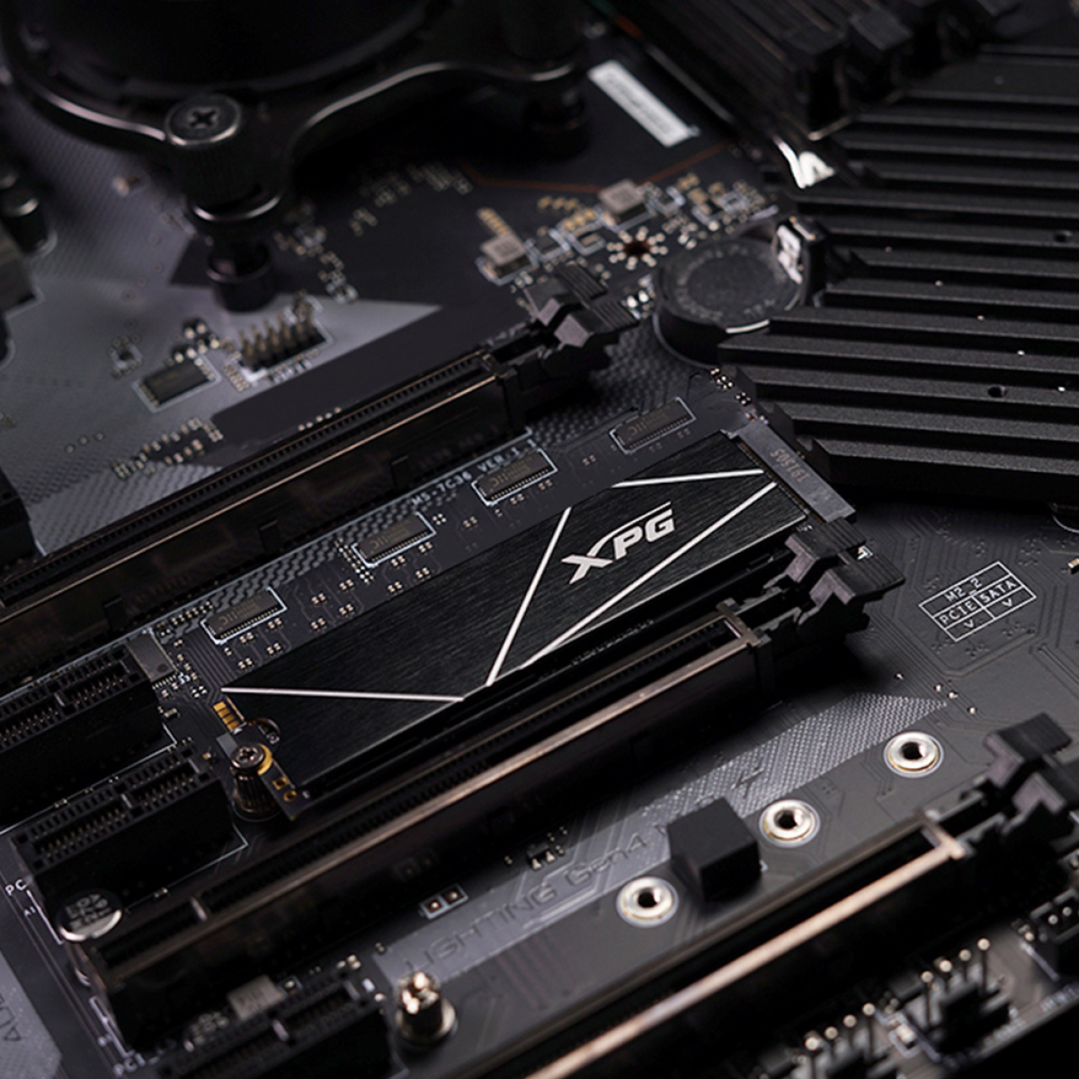SSD M.2 NVMe ADATA Gammix S70 Blade 8 TB PCIe 4.0 x4 (AGAMMIXS70B-8000G-CS)