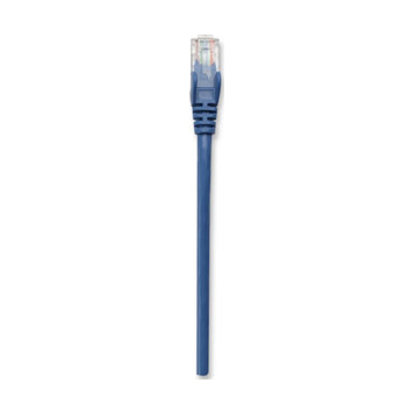 Cable de Red INTELLINET 319829