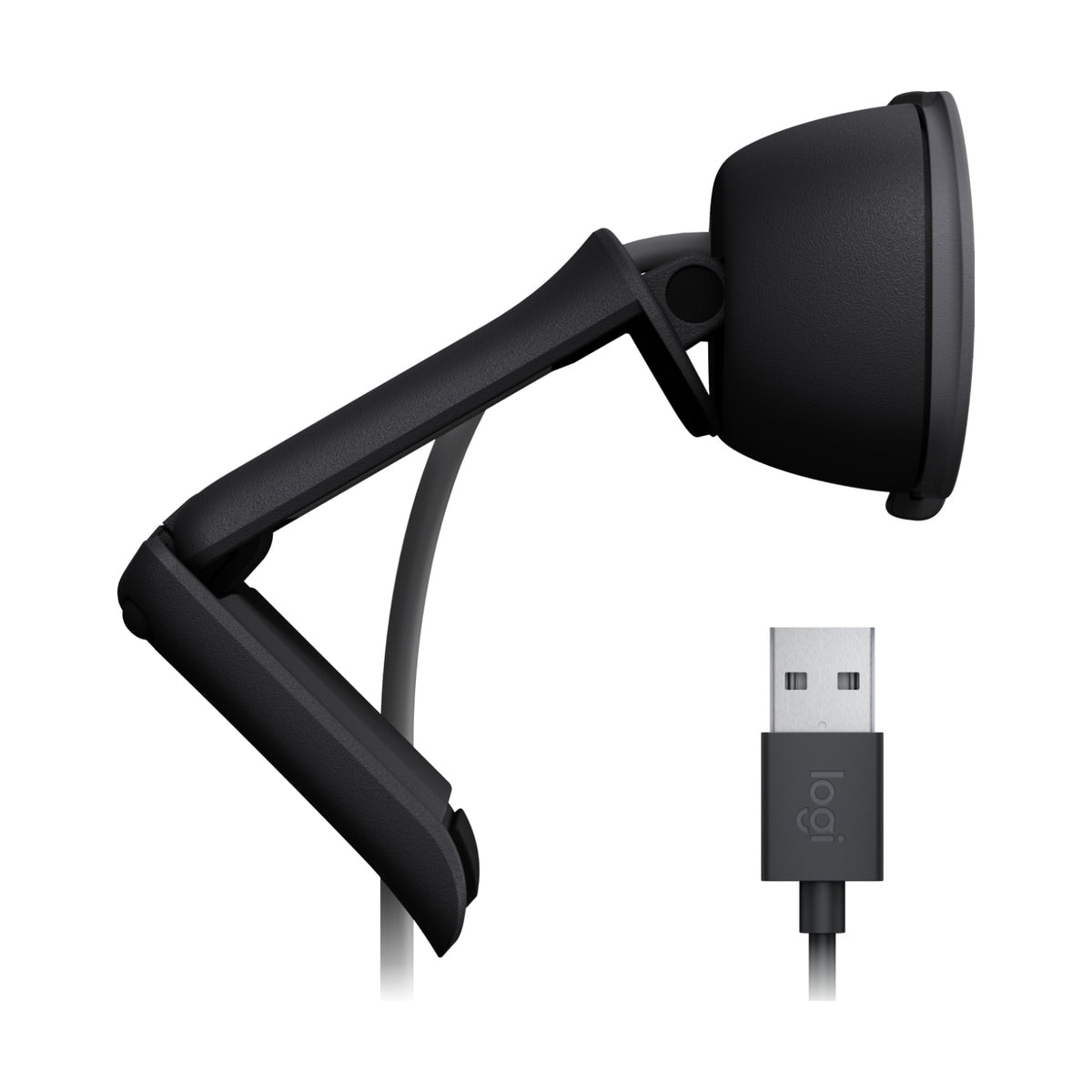 Webcam Logitech Brio 100 (960-001586)