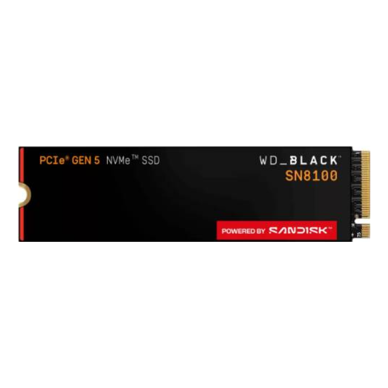 SSD SANDISK WDS100T1X0M
