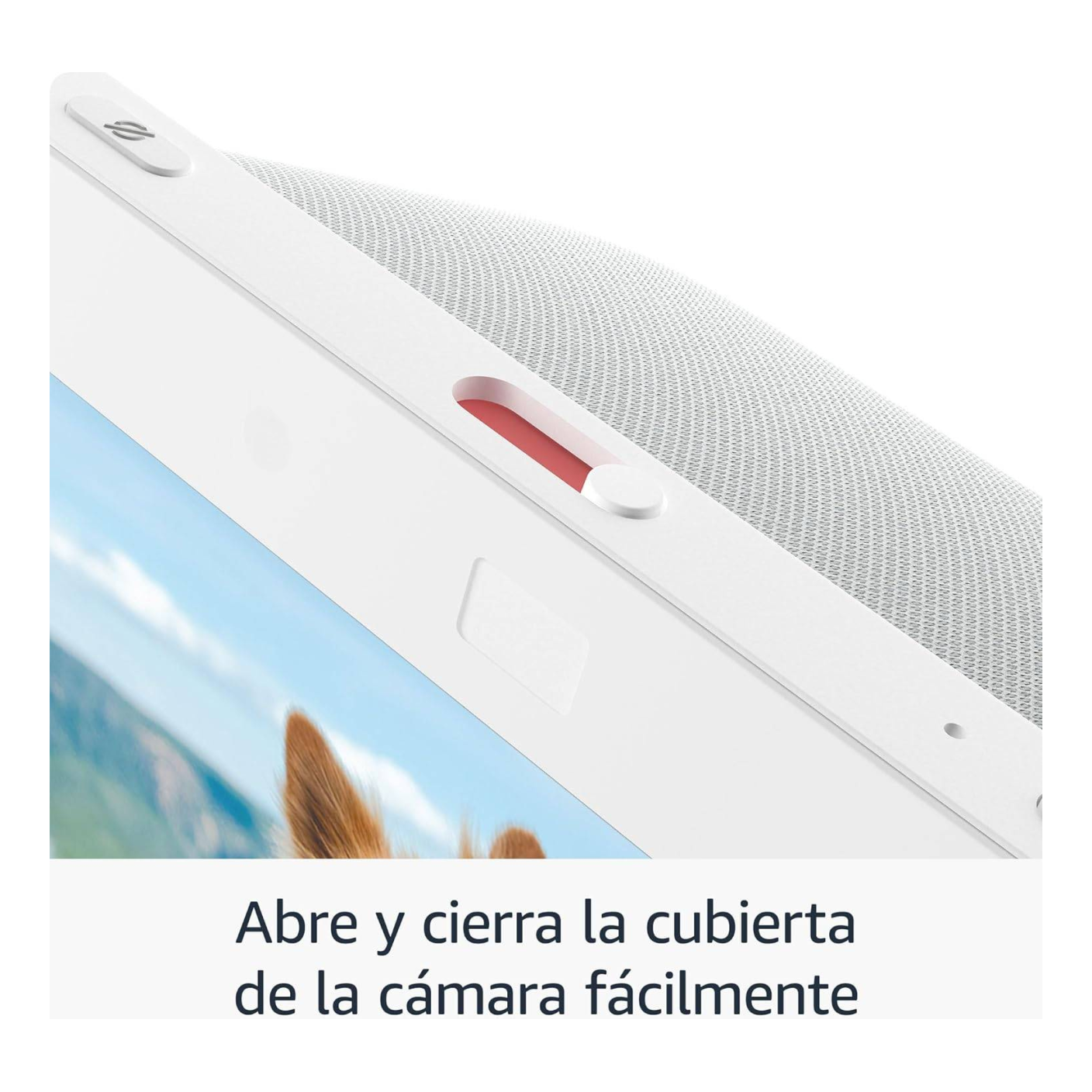 Bocina Amazon B0BLS3QJTX