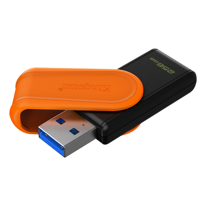 Memorias USB Kingston Technology DTXS/256GB