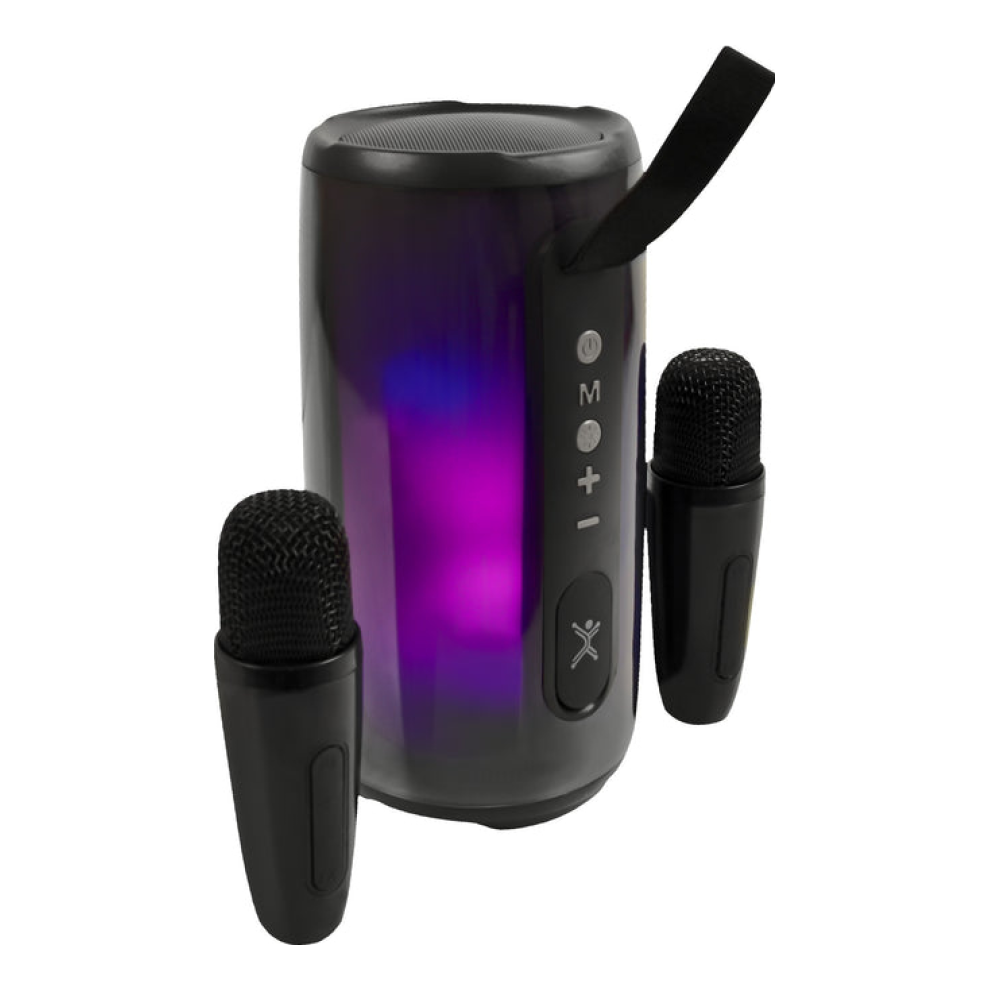 Bocinas PERFECT CHOICE PC-113287