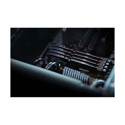 Memorias RAM Kingston Technology FURY BEAST