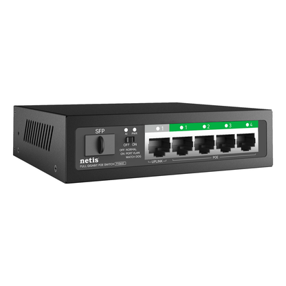 Switches NETIS P106GC