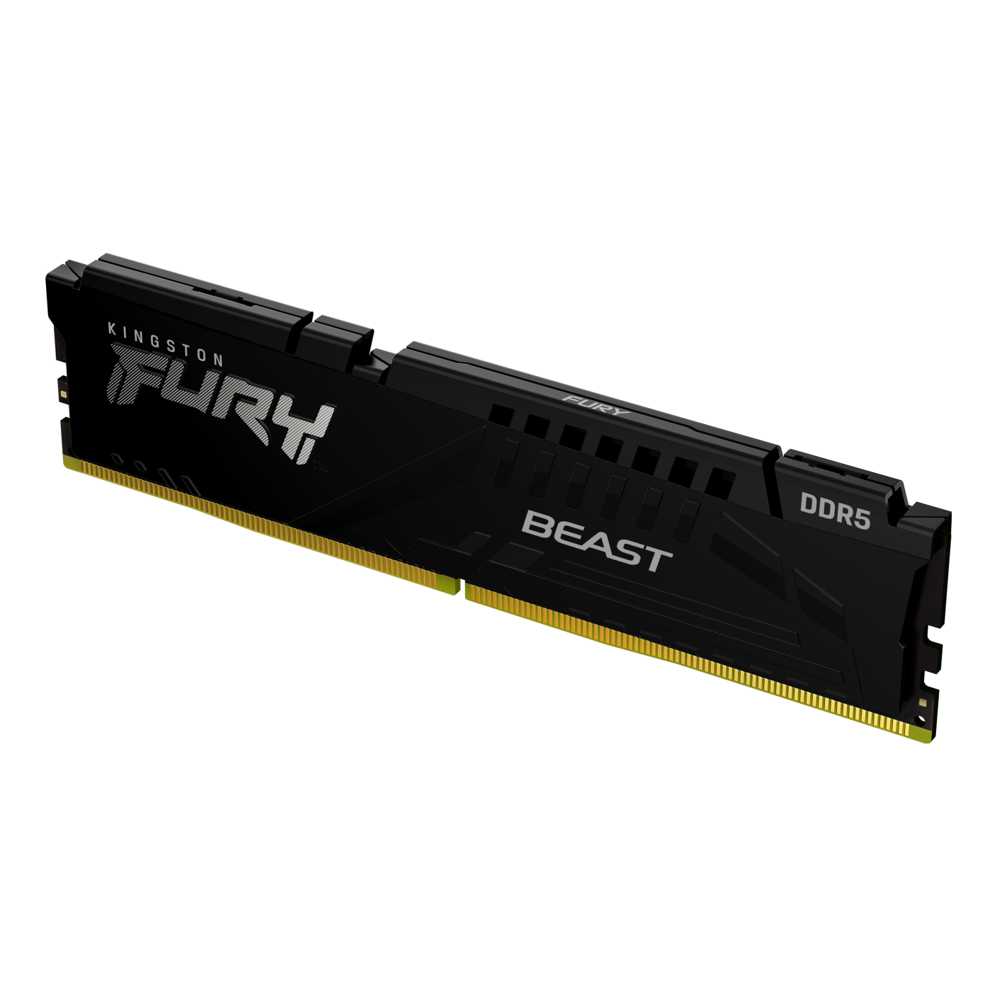 Memorias RAM Kingston Technology FURY BEAST EXPO